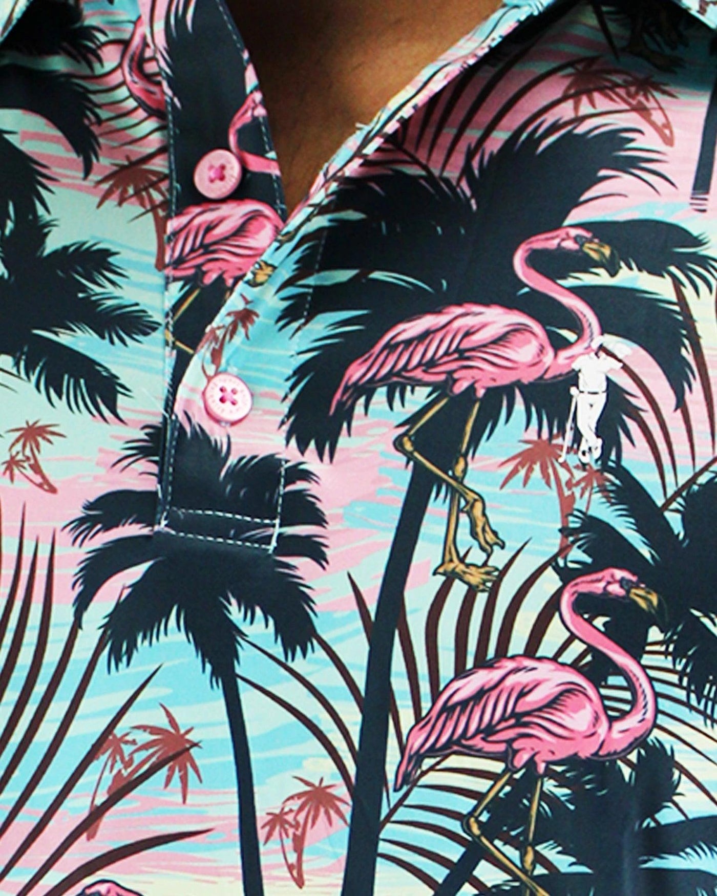 Wild Flamingo