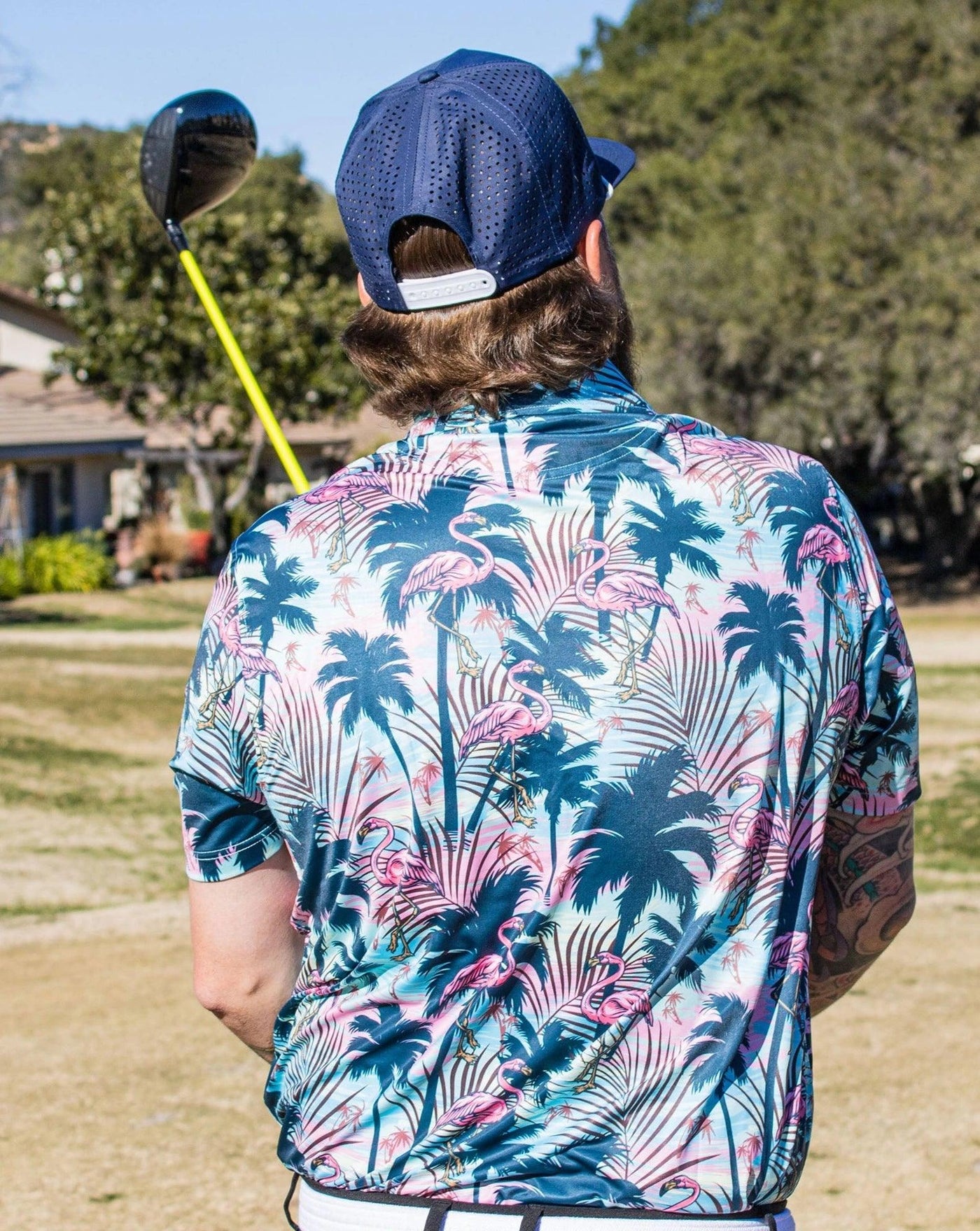 Wild Flamingo